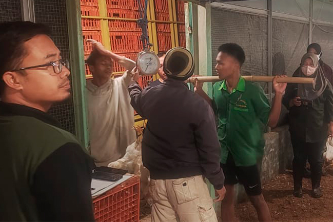 Kepakan Sayap Inovasi: 6 Mahasiswa Fapet Unsoed Magang Intensif di Kandang Closed House Berteknologi Modern