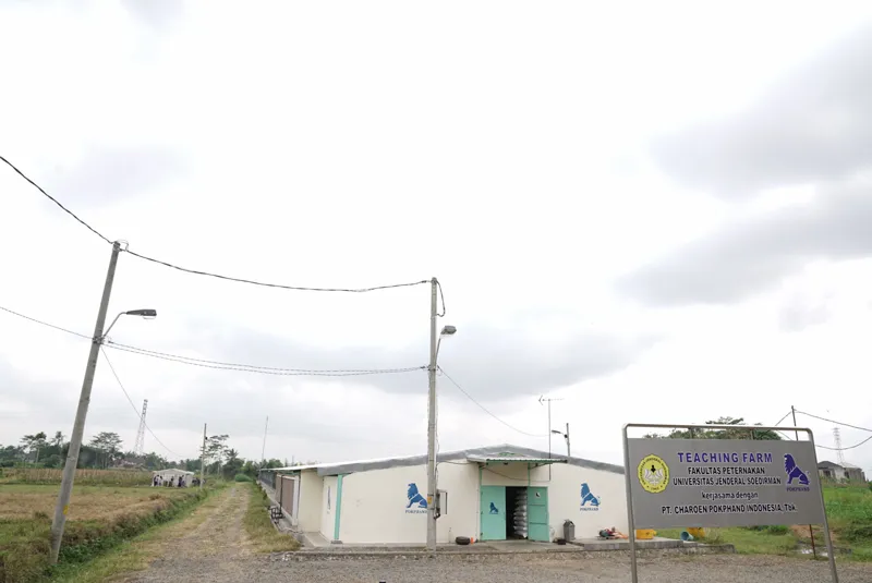 Unsoed Corporation and Land Management