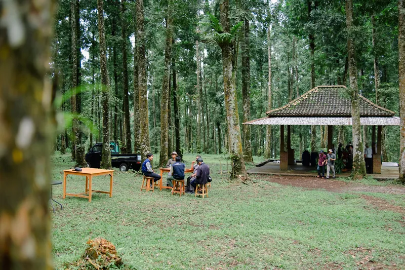 Unsoed Corporation and Land Management