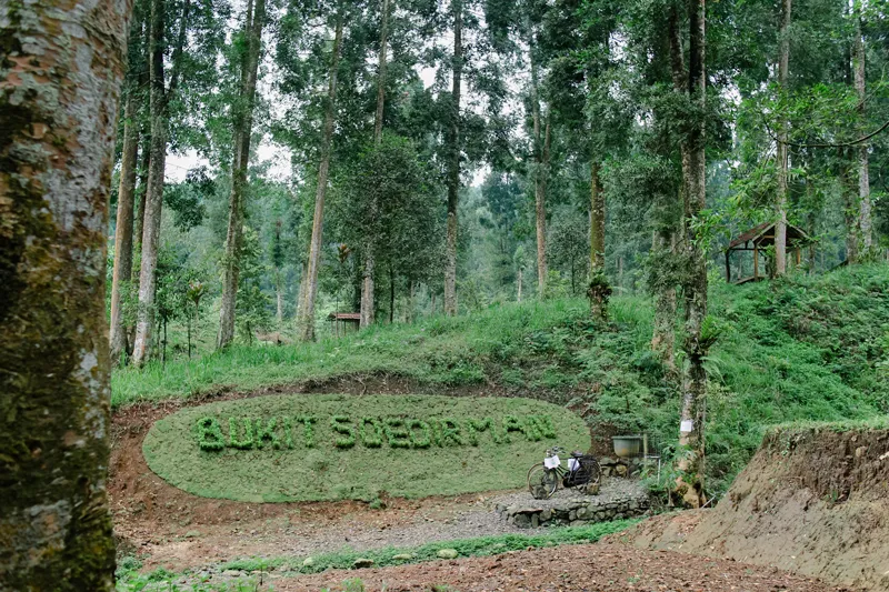 Unsoed Corporation and Land Management
